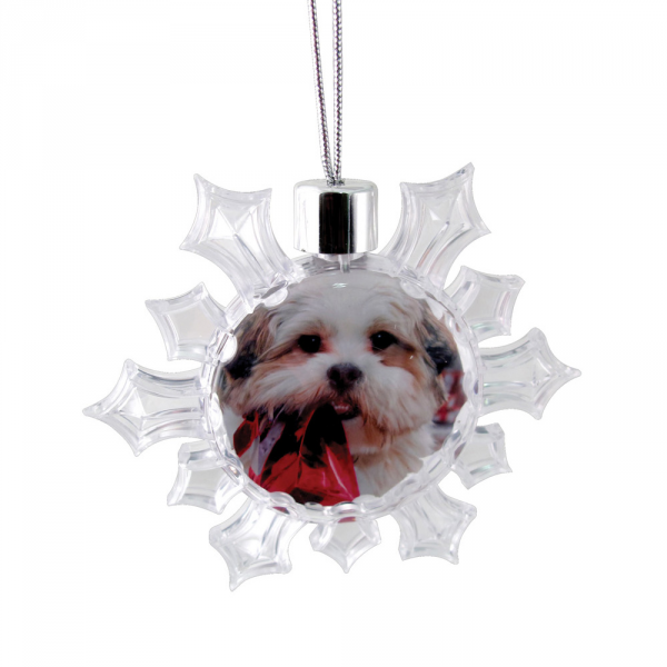 Snowflake Ornament - Clear