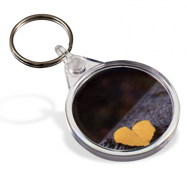 Picto Keyring - Round